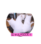 ガッシー1階ねこーず2021冬バージョン（個別スタンプ：20）