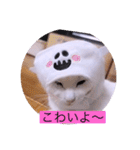 ガッシー1階ねこーず2021冬バージョン（個別スタンプ：21）