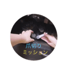 ガッシー1階ねこーず2021冬バージョン（個別スタンプ：24）