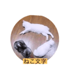 ガッシー1階ねこーず2021冬バージョン（個別スタンプ：27）