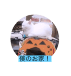 ガッシー1階ねこーず2021冬バージョン（個別スタンプ：30）