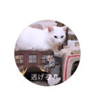 ガッシー1階ねこーず2021冬バージョン（個別スタンプ：32）
