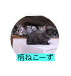 ガッシー1階ねこーず2021冬バージョン（個別スタンプ：33）