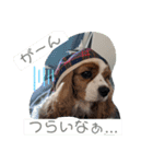 おひめ2（個別スタンプ：1）
