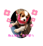おひめ2（個別スタンプ：3）