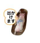 ブーブー家族 ①（個別スタンプ：3）