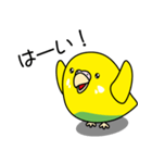 セキセイインコ（黄ハルクイン）2（個別スタンプ：3）