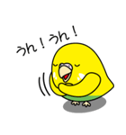 セキセイインコ（黄ハルクイン）2（個別スタンプ：6）