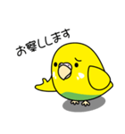 セキセイインコ（黄ハルクイン）2（個別スタンプ：7）