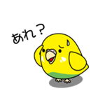 セキセイインコ（黄ハルクイン）2（個別スタンプ：8）