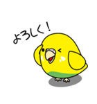 セキセイインコ（黄ハルクイン）2（個別スタンプ：9）