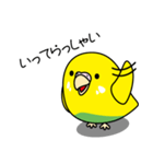 セキセイインコ（黄ハルクイン）2（個別スタンプ：11）