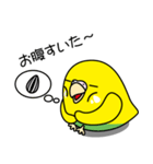 セキセイインコ（黄ハルクイン）2（個別スタンプ：13）