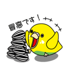セキセイインコ（黄ハルクイン）2（個別スタンプ：17）