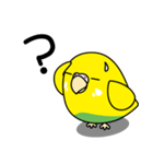 セキセイインコ（黄ハルクイン）2（個別スタンプ：21）