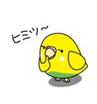 セキセイインコ（黄ハルクイン）2（個別スタンプ：23）
