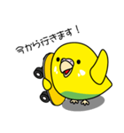 セキセイインコ（黄ハルクイン）2（個別スタンプ：25）