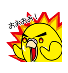 セキセイインコ（黄ハルクイン）2（個別スタンプ：33）