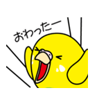 セキセイインコ（黄ハルクイン）2（個別スタンプ：37）