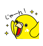 セキセイインコ（黄ハルクイン）2（個別スタンプ：39）