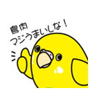 セキセイインコ（黄ハルクイン）2（個別スタンプ：40）