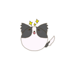 まん丸ボーダーコリー（個別スタンプ：1）