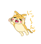 僕はスナネコ（個別スタンプ：6）