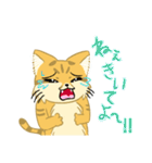 僕はスナネコ（個別スタンプ：19）