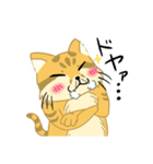 僕はスナネコ（個別スタンプ：24）
