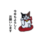 三毛猫にゃーのねこ刺繍スタンプ4（個別スタンプ：2）