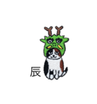 三毛猫にゃーのねこ刺繍スタンプ4（個別スタンプ：9）
