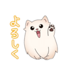ポメラニアン ポム（個別スタンプ：2）