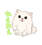 ポメラニアン ポム（個別スタンプ：3）