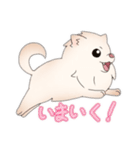 ポメラニアン ポム（個別スタンプ：4）