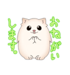 ポメラニアン ポム（個別スタンプ：5）