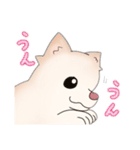 ポメラニアン ポム（個別スタンプ：7）