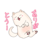 ポメラニアン ポム（個別スタンプ：9）