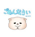 ポメラニアン ポム（個別スタンプ：10）