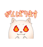 ポメラニアン ポム（個別スタンプ：11）