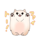 ポメラニアン ポム（個別スタンプ：12）