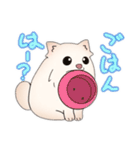 ポメラニアン ポム（個別スタンプ：13）