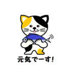 かわいい動物図鑑（個別スタンプ：2）