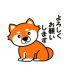 かわいい動物図鑑（個別スタンプ：23）