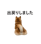 爆吠え犬 めい（個別スタンプ：26）