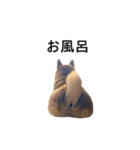 爆吠え犬 めい（個別スタンプ：27）