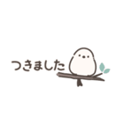 シマエナガちゃんの小さめスタンプ（個別スタンプ：30）