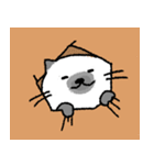 kapook is cat（個別スタンプ：10）