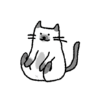 kapook is cat（個別スタンプ：15）