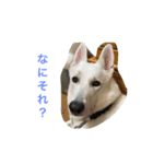 エイトと愉快な仲間たち2（個別スタンプ：10）