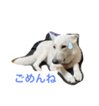 エイトと愉快な仲間たち2（個別スタンプ：12）